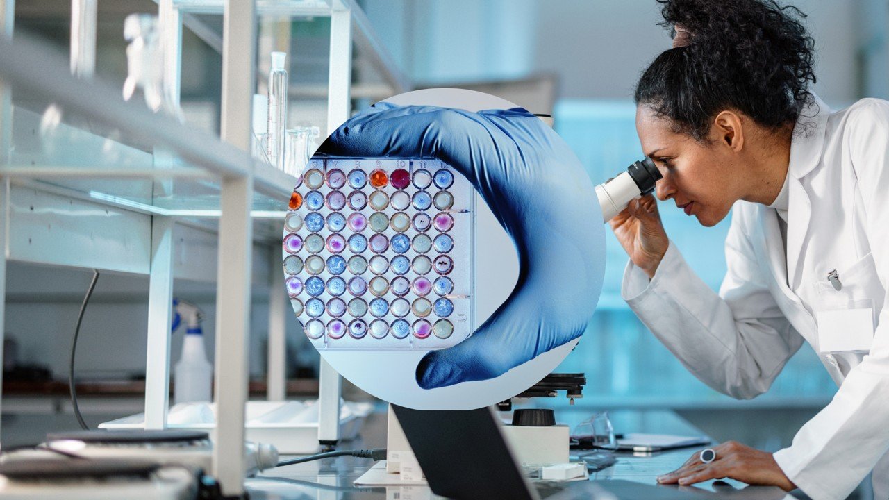 Allied Health Career